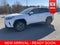 2025 Toyota RAV4 Hybrid XLE Premium